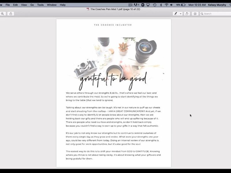 the coaches incubator by kelsey murphy