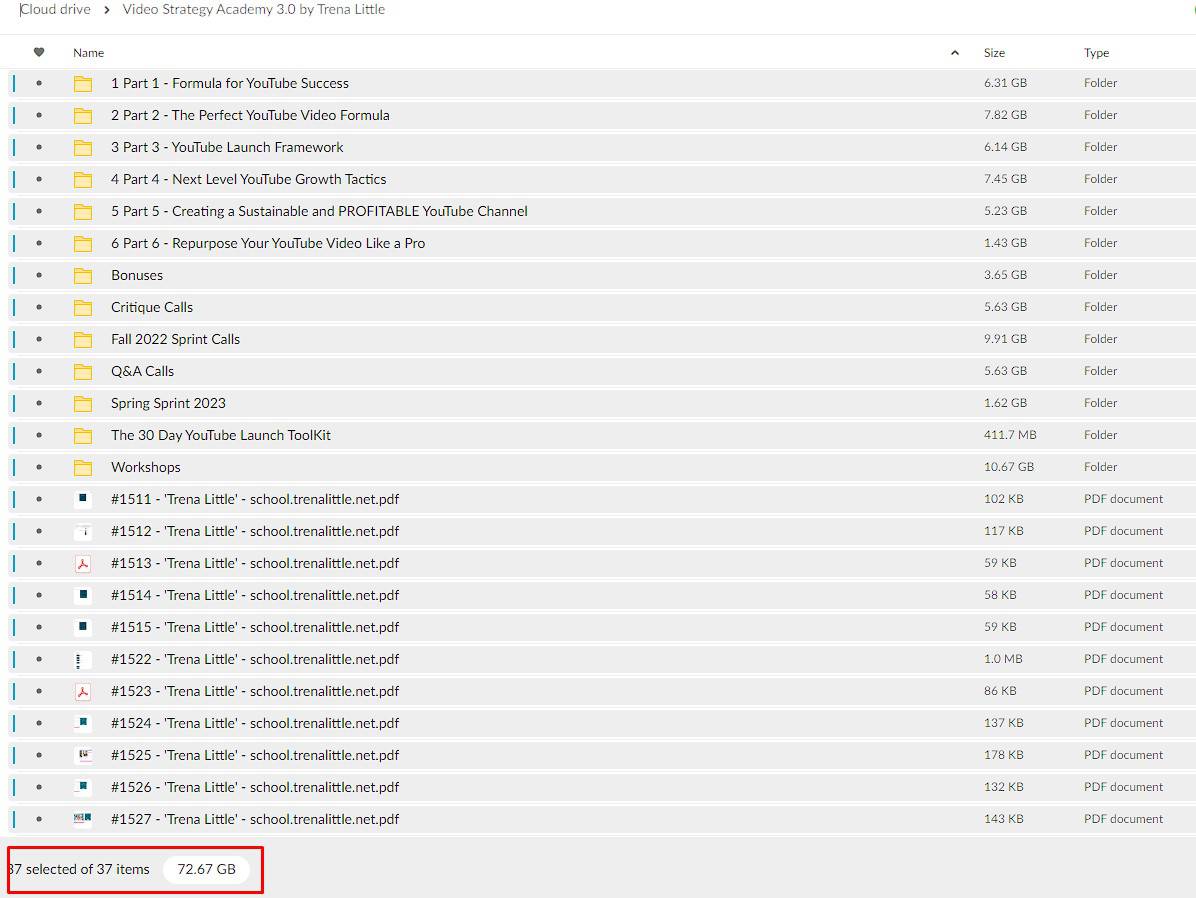 video strategy academy 3.0 by trena little