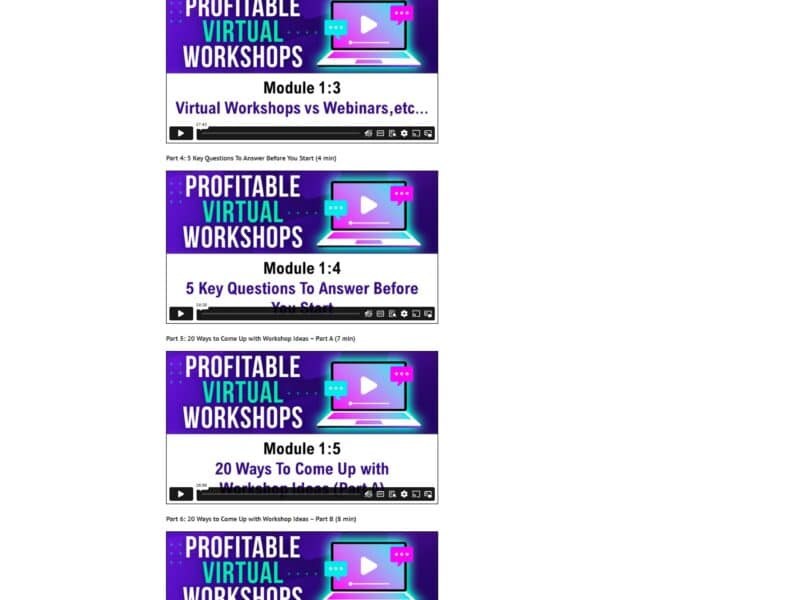 profitable virtual workshop by alina vincent