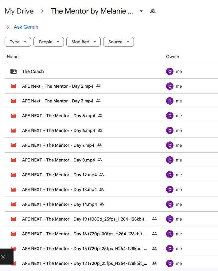 the mentor by melanie ann layer (includes the coach program)