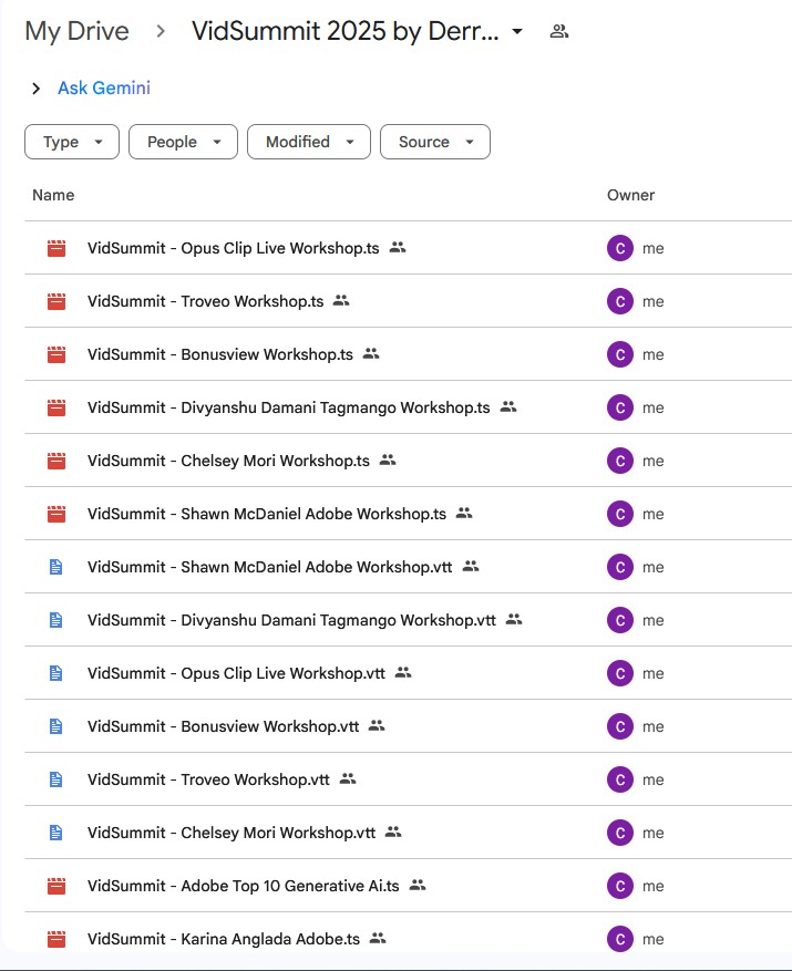 vidsummit 2025 by derral eves