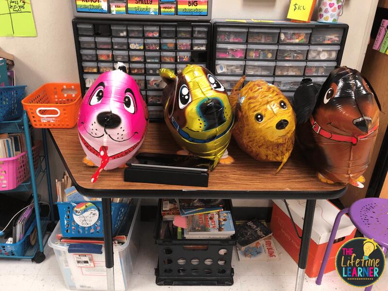 veterinarian classroom transformation balloon puppies