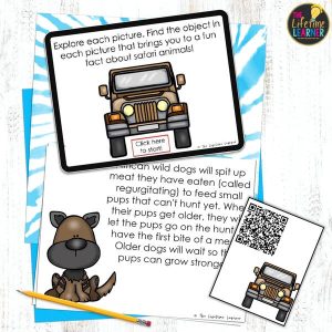 safari fast finisher activity