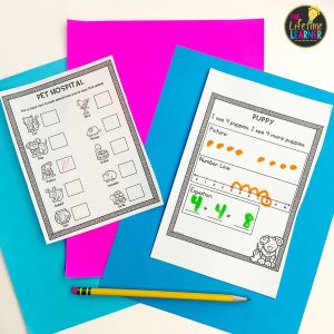 veterinarian classroom transformation recording sheet and challenge