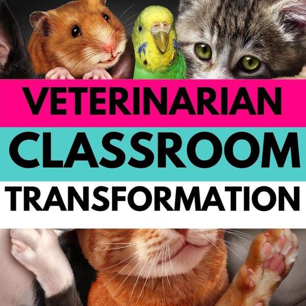 veterinarian classroom transformation