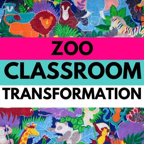 zoo classroom transformation