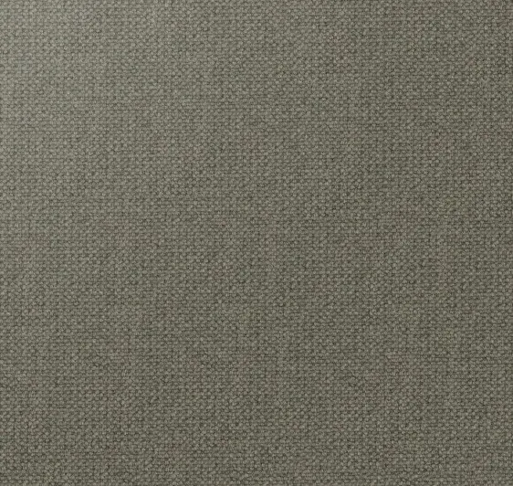 Plush carpet flooring in neutral gray color for residential and commercial spaces.