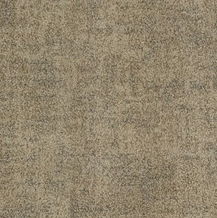 Textured beige carpet flooring in a modern interior setting.