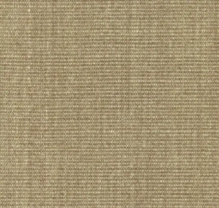 Dark beige textured carpet flooring in neutral tones.