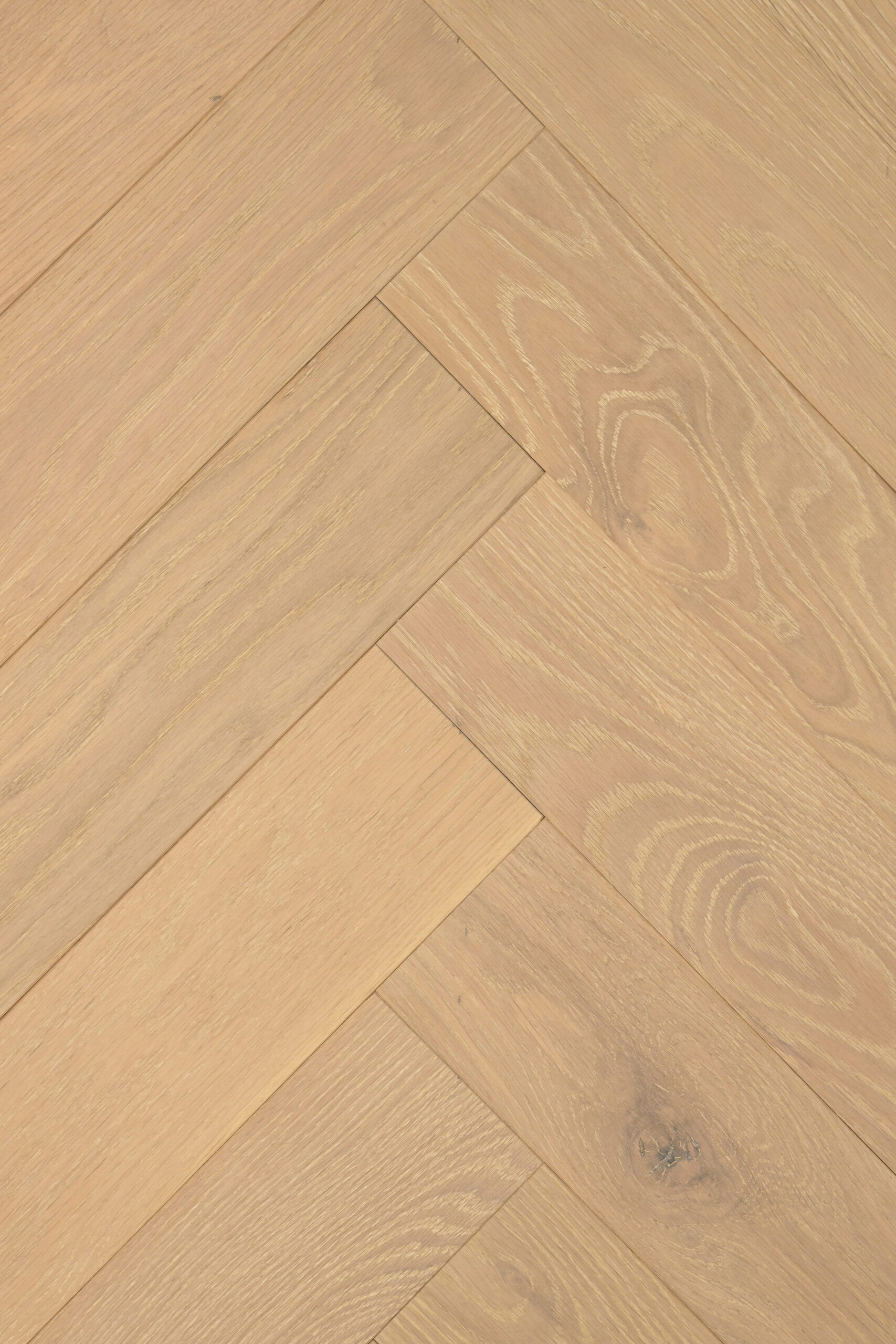 Pavia Herringbone