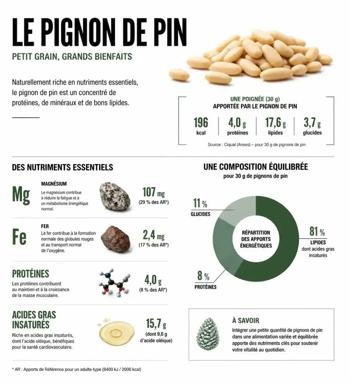 Infographie illustrant les bienfaits nutritionnels et les apports en vitamines et minéraux des pignons de pin pour la santé.