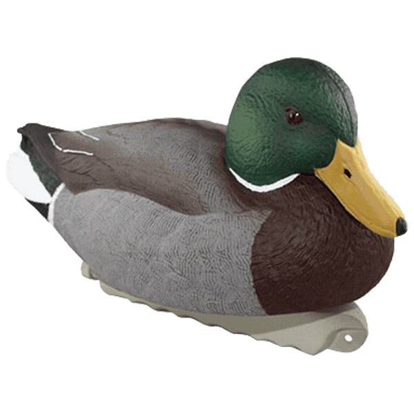 cupped waterfowl finishing mallard drake decoy