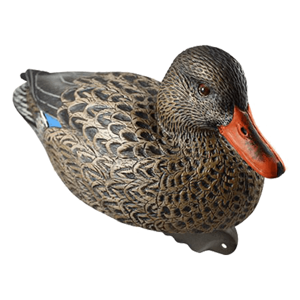 cupped waterfowl finishhing mallard hen decoy