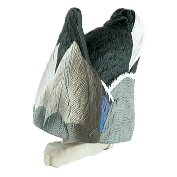 cupped waterfowl mallard drake feeder butt decoy