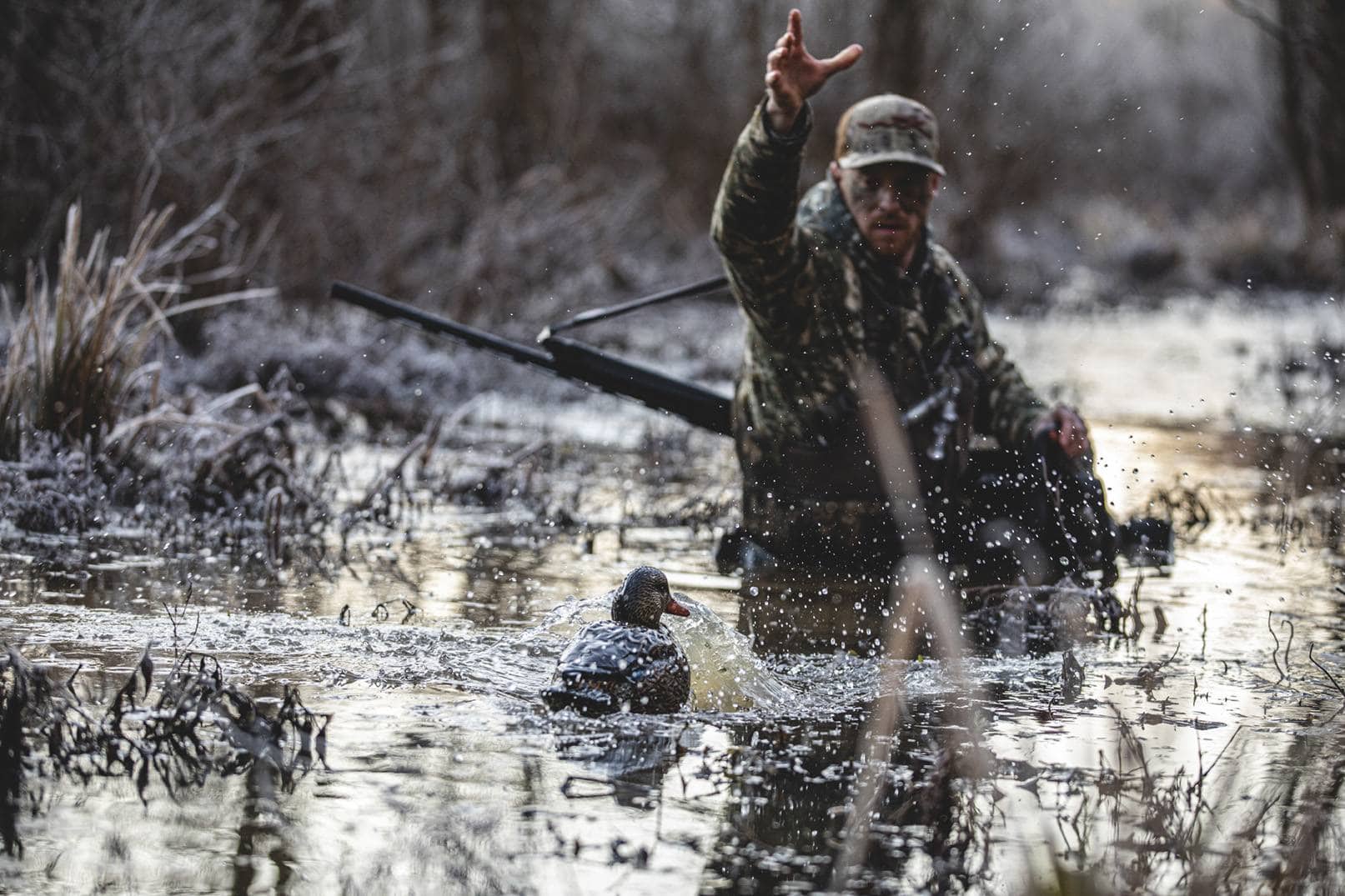 cupped waterfowl