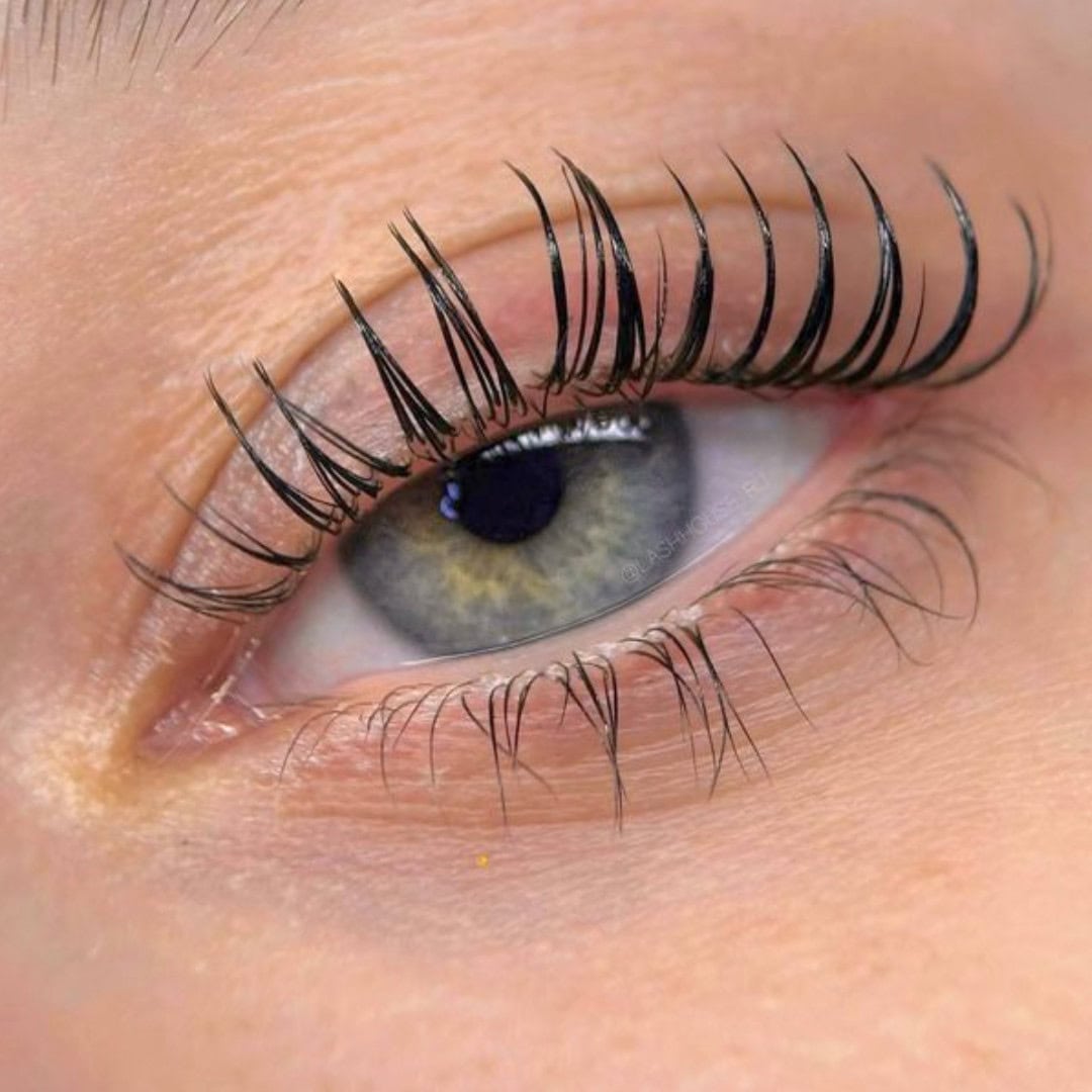 Lash Lift (2)