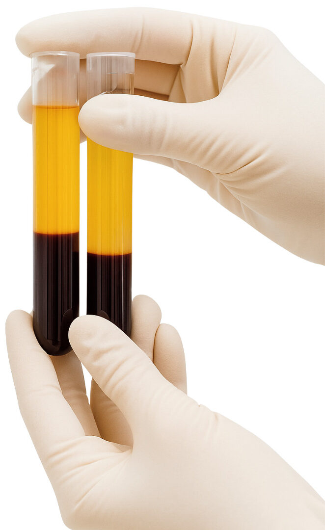 Untitled design (26)