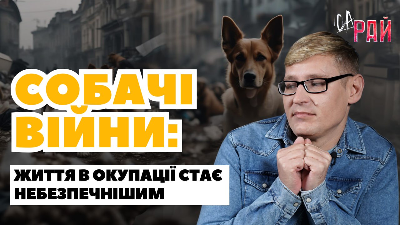 Стаття: Окупація і безпритульні собаки: що коїться на вулицях Донбасу? СаРай. Випуск 12