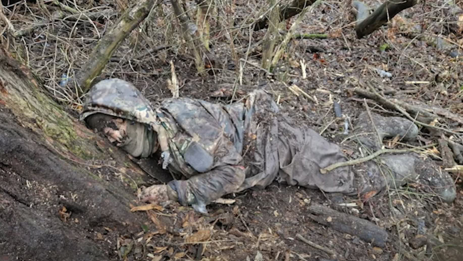 Стаття: Бійці ССО вистежили окупантів, які стратили двох українських солдатів