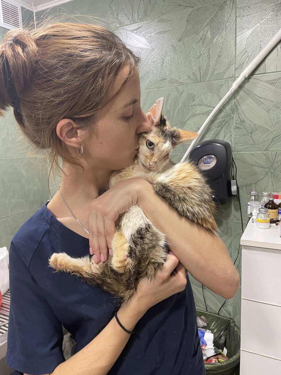 Зображення посту: 22 тисячі врятованих. Як активісти вивозять котів, собак та навіть корів із зони бойових дій