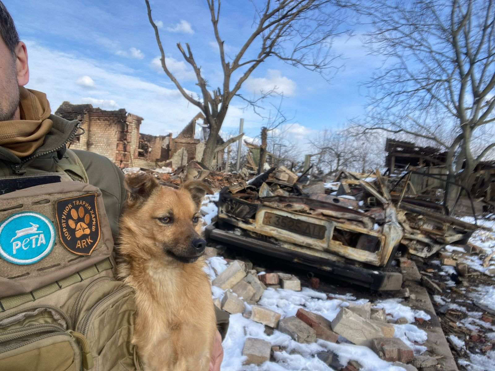 Зображення посту: 22 тисячі врятованих. Як активісти вивозять котів, собак та навіть корів із зони бойових дій