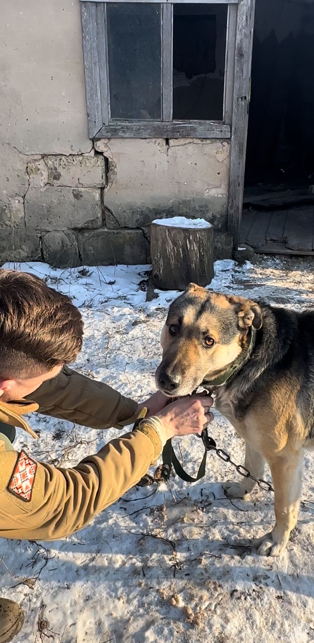Зображення посту: 22 тисячі врятованих. Як активісти вивозять котів, собак та навіть корів із зони бойових дій