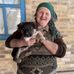 Зображення посту: 22 тисячі врятованих. Як активісти вивозять котів, собак та навіть корів із зони бойових дій