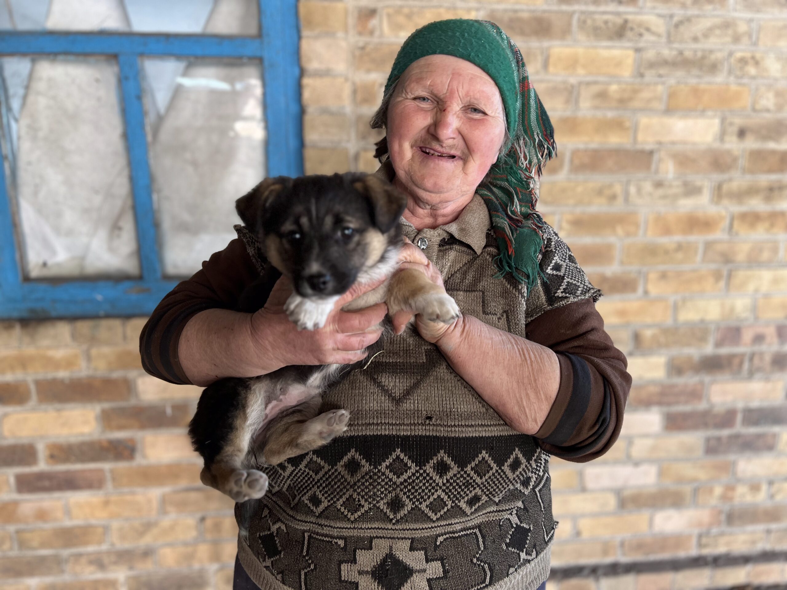 Зображення посту: 22 тисячі врятованих. Як активісти вивозять котів, собак та навіть корів із зони бойових дій