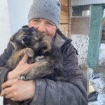 Зображення посту: 22 тисячі врятованих. Як активісти вивозять котів, собак та навіть корів із зони бойових дій