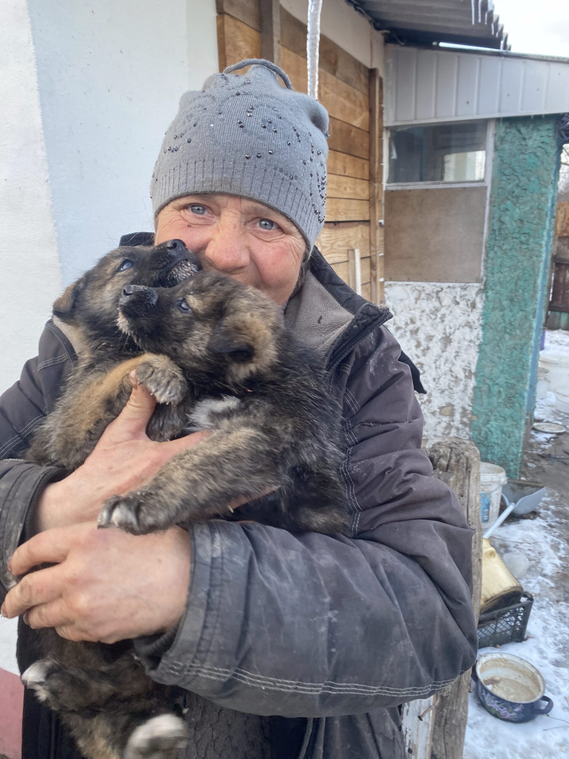 Зображення посту: 22 тисячі врятованих. Як активісти вивозять котів, собак та навіть корів із зони бойових дій