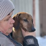 Зображення посту: 22 тисячі врятованих. Як активісти вивозять котів, собак та навіть корів із зони бойових дій