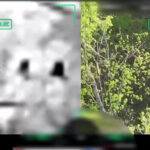 Зображення посту: Трьох українських військових звільнили з полону за допомогою дронів