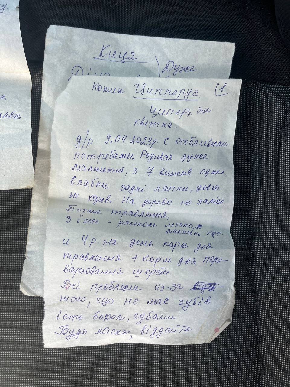 Зображення посту: «Вибачте за погану писанину, дуже переживаю». Бабуся передала записку волонтерам, які евакуювали її котів зі Слов’янська