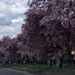 Зображення посту: «Прилітає з усіх видів зброї». Фотограф Ян Доброносов опублікував репортаж з Костянтинівки