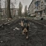 Зображення посту: «Тіла цивільних повсюди». Фотограф Ліберов показав світлини з Покровська