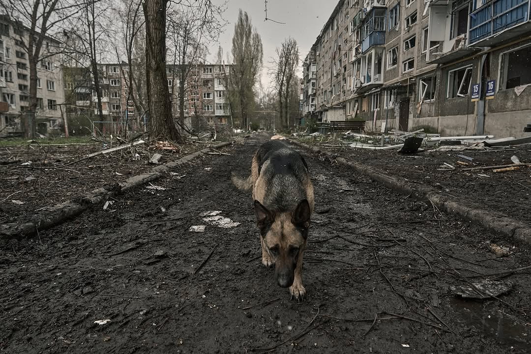 Зображення посту: «Тіла цивільних повсюди». Фотограф Ліберов показав світлини з Покровська