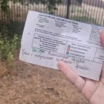 Зображення посту: Українці відзначили День Державності в окупованих Донецьку й Луганську
