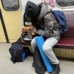 Зображення посту: Коти, які пережили війну: історії тварин, які рятувалися разом із людьми