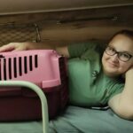 Зображення посту: Коти, які пережили війну: історії тварин, які рятувалися разом із людьми