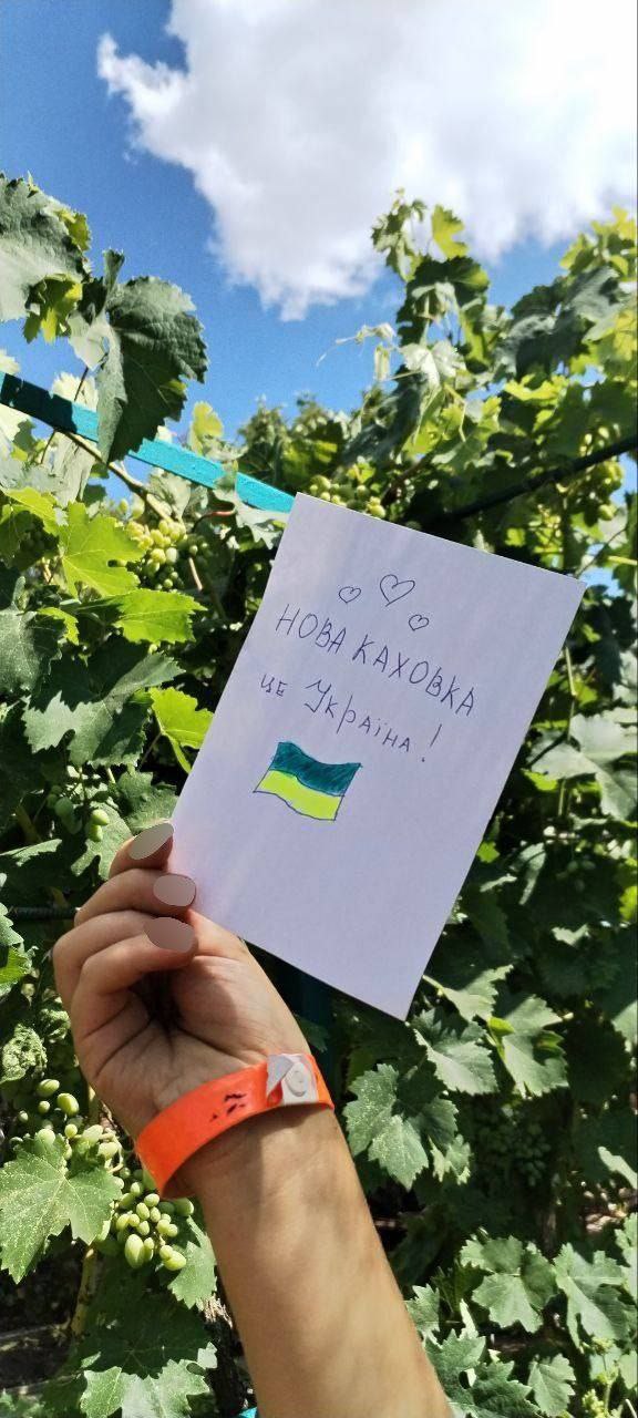 Зображення посту: Українці відзначили День Державності в окупованих Донецьку й Луганську