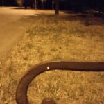Зображення посту: Українці відзначили День Державності в окупованих Донецьку й Луганську