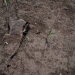 Зображення посту: На окупованій Донеччині знижують ціни на воду та анонсують встановлення цистерн