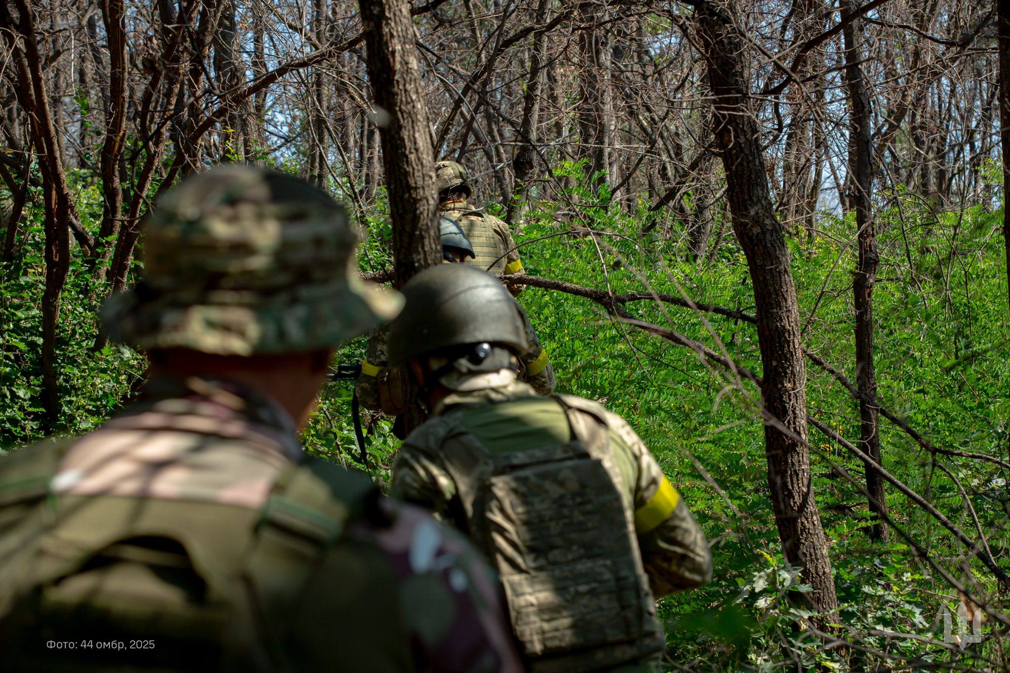 Стаття: На Донеччині та Луганщині зафіксували 115 боєзіткнень за добу, з них 47 — на Покровському напрямку