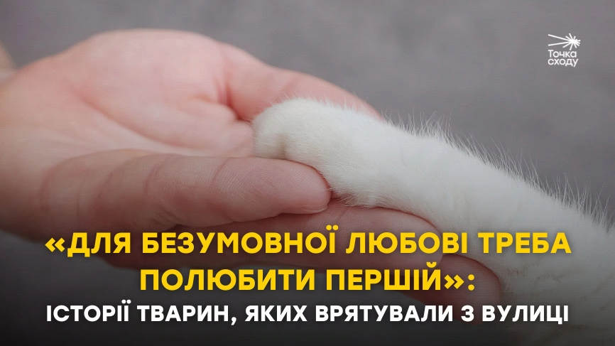 Стаття: «Для безумовної любові треба полюбити першій»: історії тварин, яких врятували з вулиці