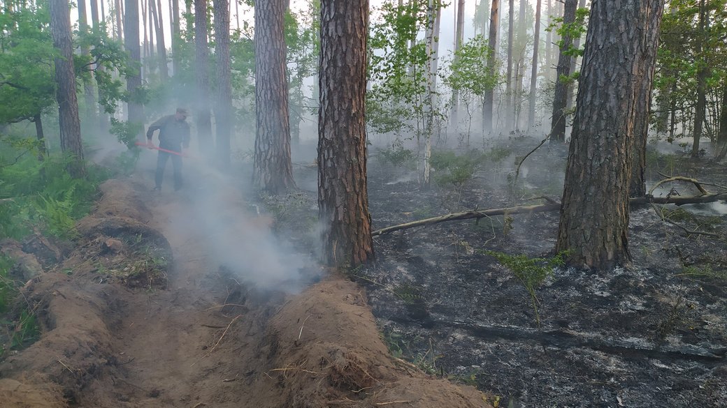 Стаття: На окупованій частині Луганщини замість рятувальників пожежу гасять студенти й козаки