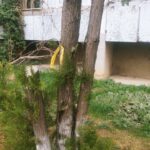 Зображення посту: У Довжанську й Луганську з’явилися символи українського спротиву