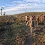 Зображення посту: Українські військові показали зруйнований росіянами канал «Сіверський Донець – Донбас»