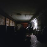 Зображення посту: Обстріли, евакуація та новий дім: як собаки переселенців переживають перші місяці війни