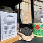 Зображення посту: Фестиваль думок у Києві: як говорили про окупацію, полон і права людини