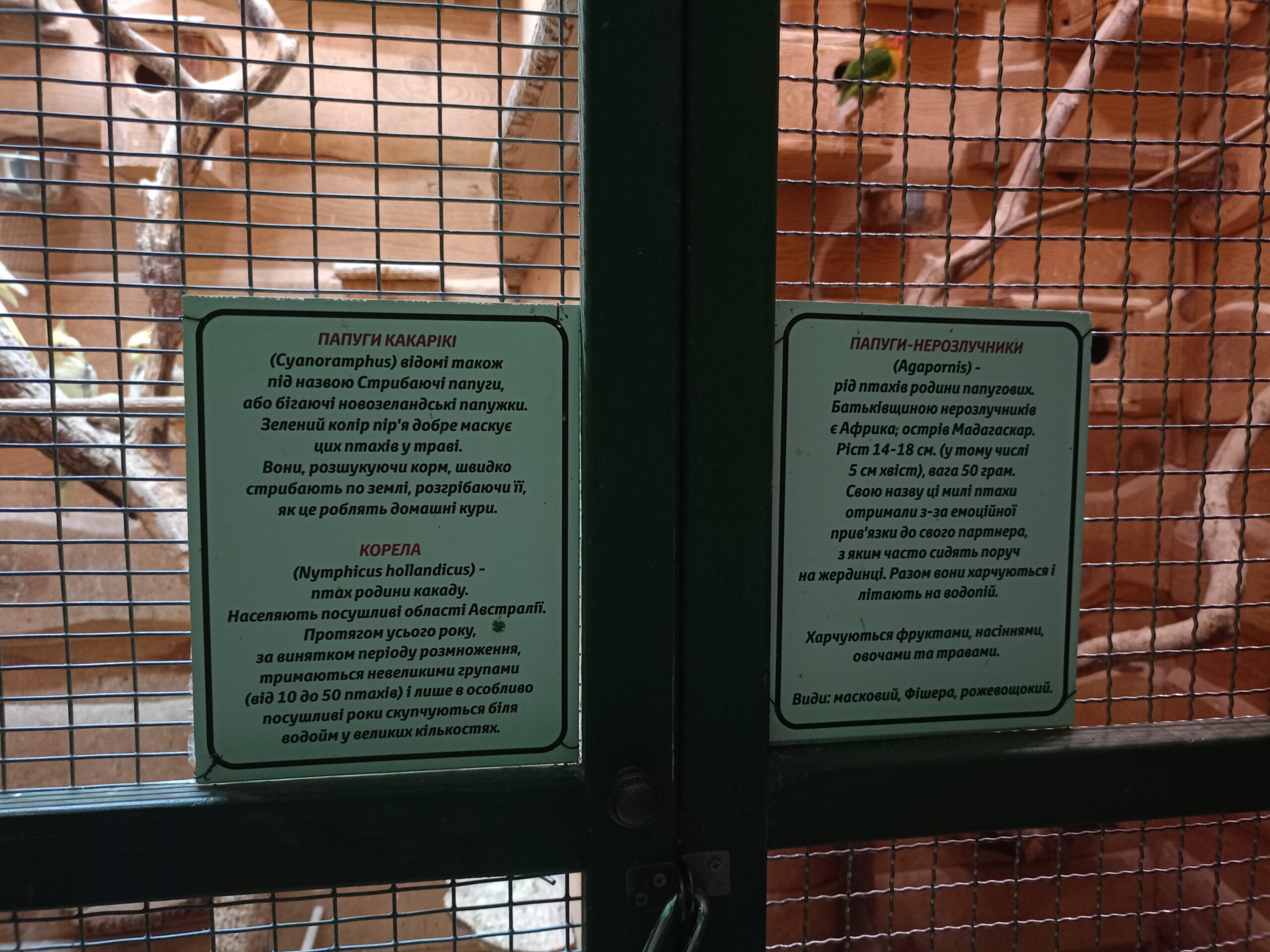 Зображення посту: «Коли зовсім погано, кажемо один одному: давай поїдемо на рибку». Як нині працює океанаріум у Краматорську